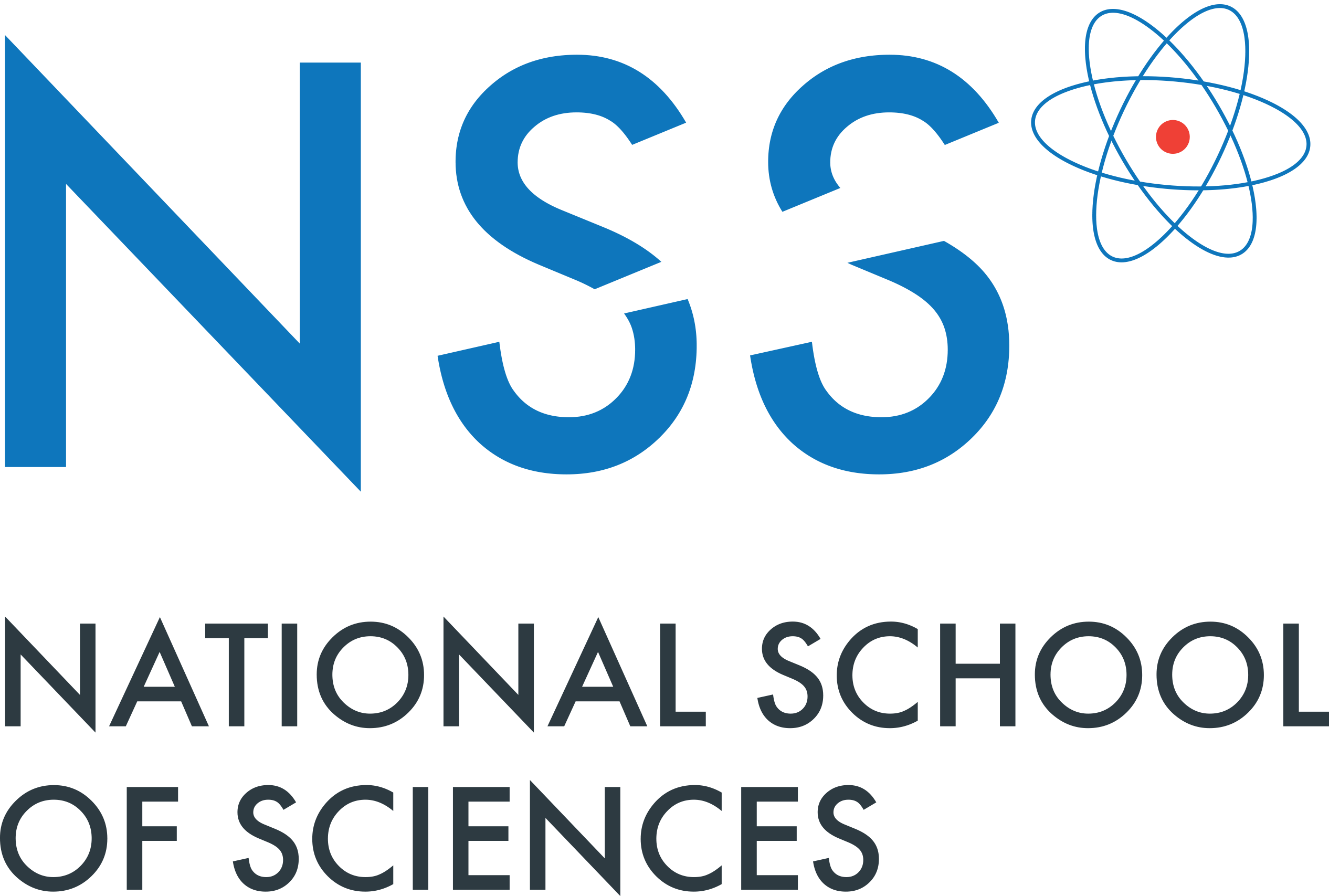 NSS Logo